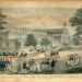 Nederland en de Wereldtentoonstelling