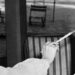 Churchill: Walking with Destiny – Andrew Roberts