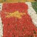 Suriname 40 jaar onafhankelijk