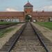 Gevangen in Auschwitz – na de oorlog