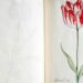 Actie voor behoud Tulpboek