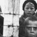 Holocaust