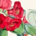 Joseph Dalton Hooker (1817-1911)