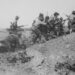 Paul Schulten over Gallipoli