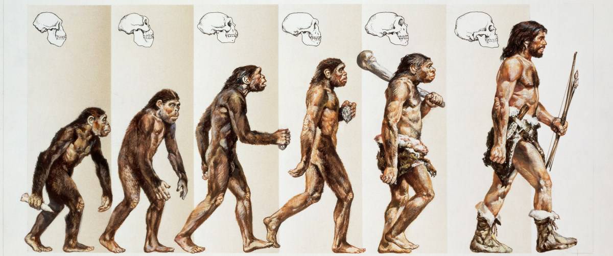 Het ontstaan van een nieuwe taal