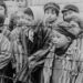 Vergelijkingen met de Holocaust blijven toegestaan