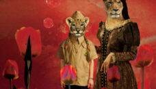 Geschiedenis Festival