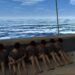 Virtual reality zorgt op school voor sensatie