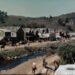 Still uit het filmpje van Sora dat Californië tijdens de Gold rush voorstelt