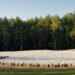 Sobibor witte velden