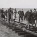 Wat te doen in tijden van crisis?