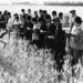 Chinese landarbeiders lezen uit het Rode Boekje, 1967.