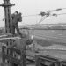 Elektrificatie van het spoor tussen Amersfoort en Hilversum, 1946.