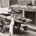 Zwerfkatten bij een visventer in Amsterdam, 1927.