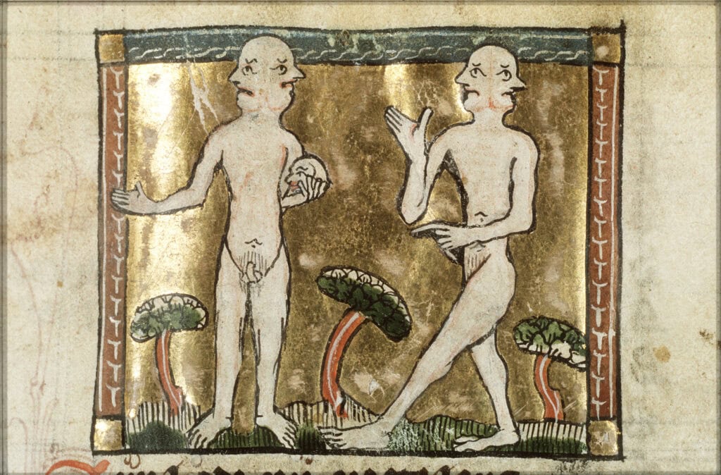 Mensen met een Januskop