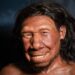Reconstructie van neanderthaler ‘Krijn’ in het Rijksmuseum van Oudheden