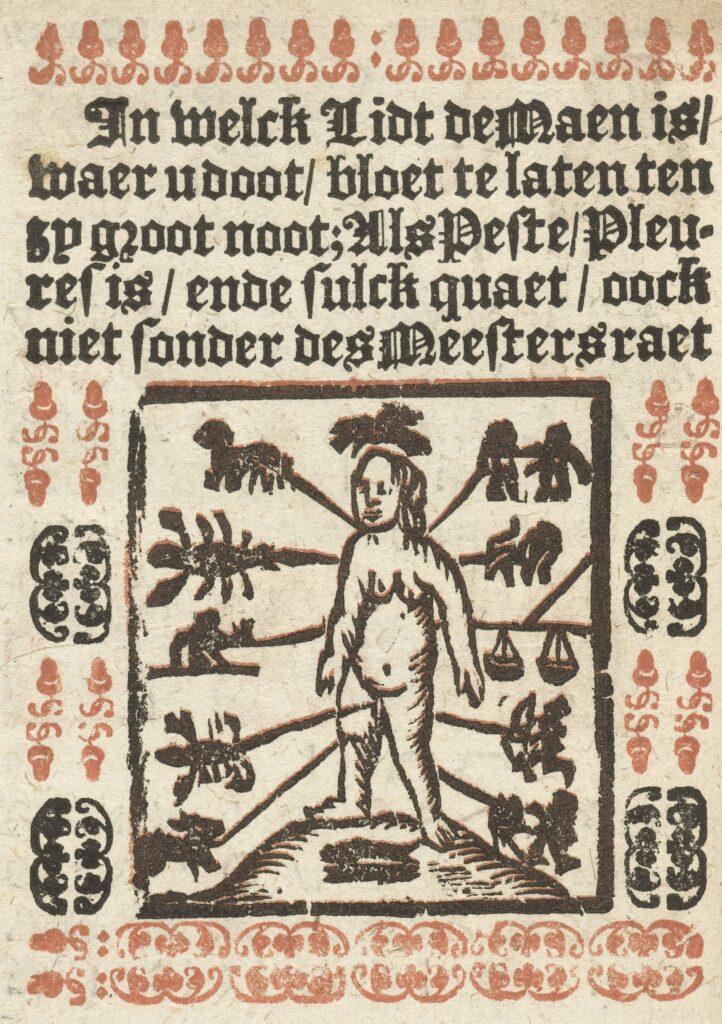 Overzicht van plaatsen op het menselijk lichaam om te aderlaten