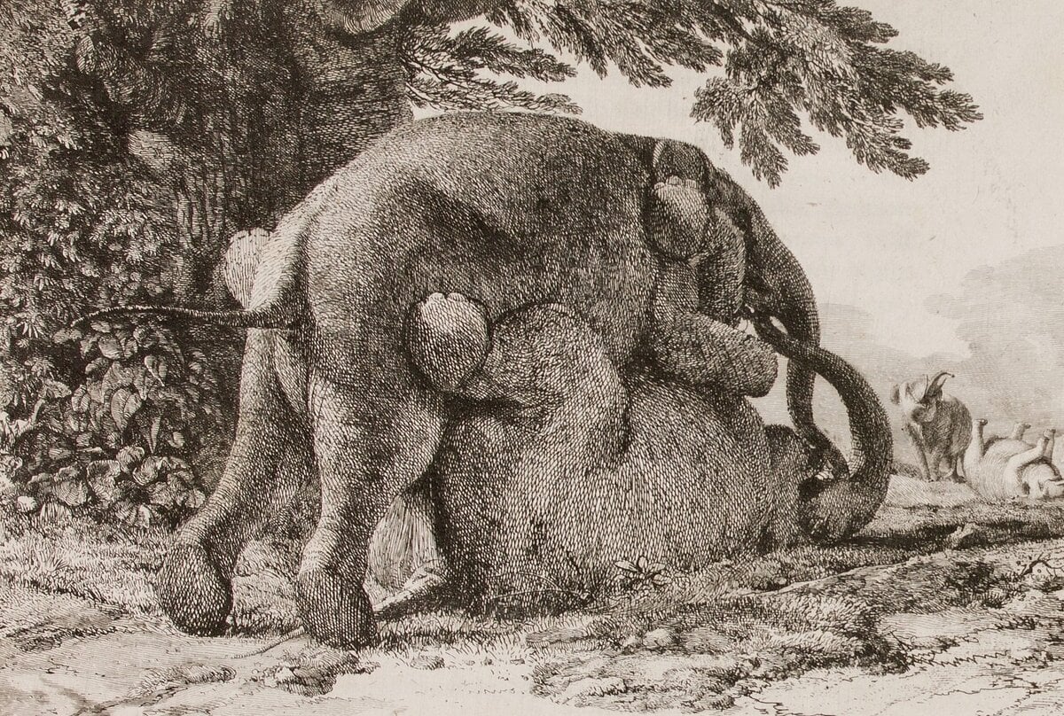 Tekening van Hans en Parkie door Jean-Pierre Houel.