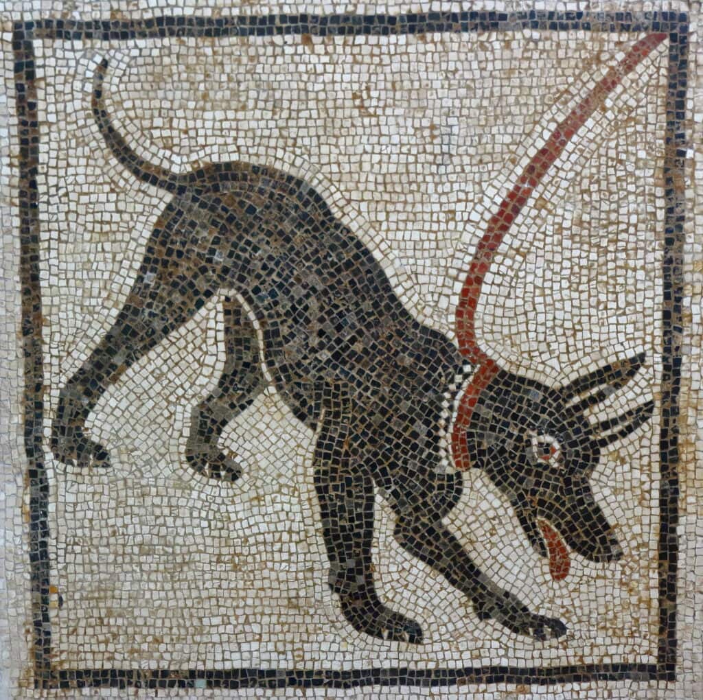 Hond aan een riem op een mozaïek uit Pompeï.