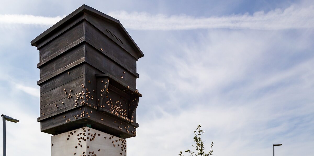 De Letse Bijenkorf in Zedelgem
