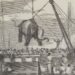 Transport van een olifant in Calcutta. Krantenillustratie, 1858.