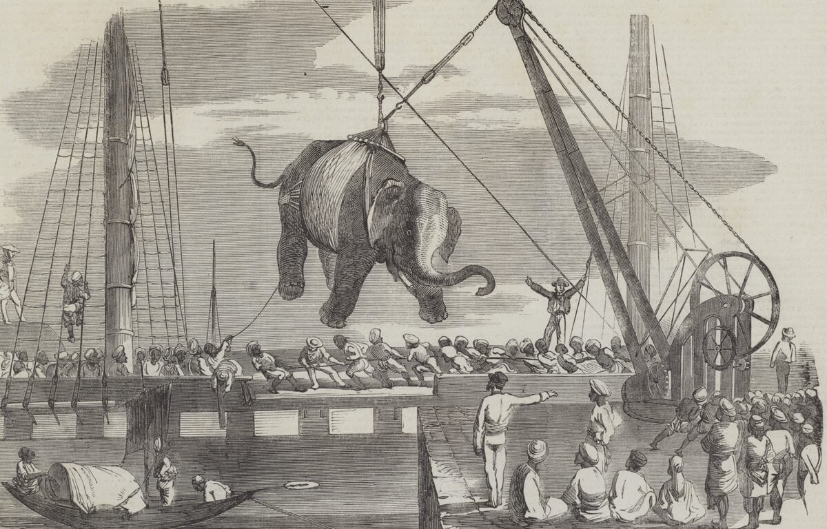 Transport van een olifant in Calcutta. Krantenillustratie, 1858.