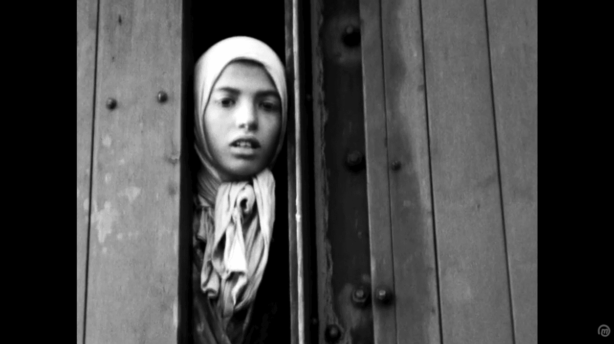 Deportatie Joods Meisje Settela Steinbach