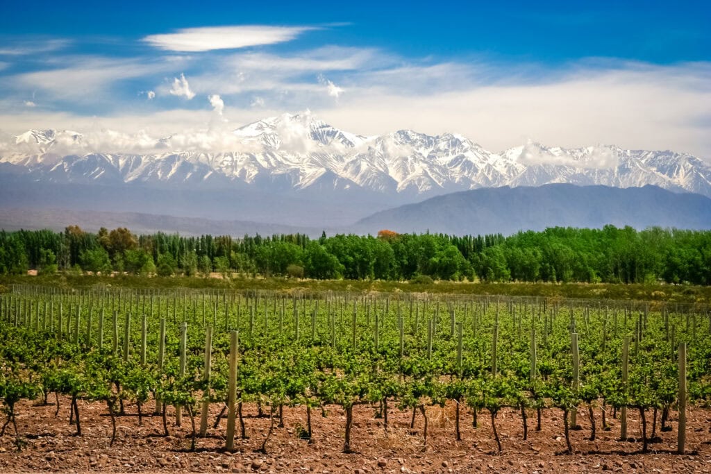 Mendoza in Argentinië