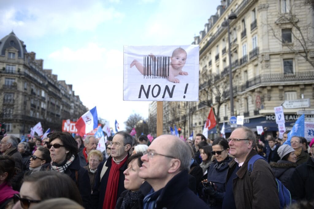Conservatieve Fransen demonstreren in Parijs tegen ivf, 2 februari 2014.