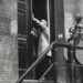 Agenten wachten voor de deur van het Maagdenhuis. Amsterdam, 21 mei 1969.