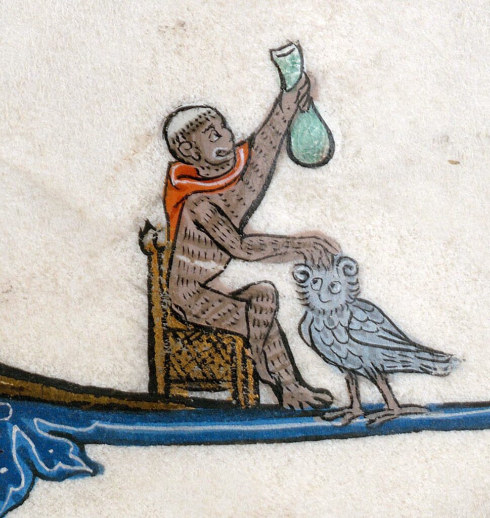 Een aap als arts diagnosticeert een uil. Uit een getijdenboek uit Arras, circa 1300.