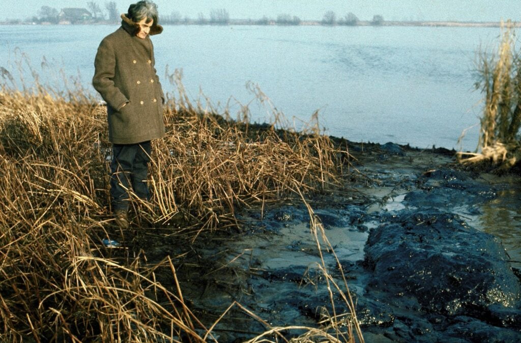 Olievervuiling in de Biesbosch, oktober 1975.
